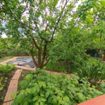 16#gyorszentivan #hauszukauf #immobilienungarn #ungarnhaus #landhausungarn #maklerinungarn