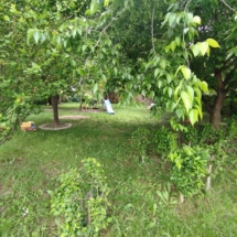 ujgyor-nadorvaros-elado-lakas-zart-udvar-jatszoterrel.jpg