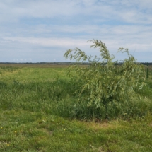 xkeramiahaz-ujepites-nagyszentjanos-800nm-kulcsrakesz