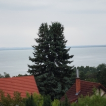 0Balatoni-panorama-teraszrol.jpg