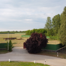DCIM100MEDIADJI_0053.JPG
