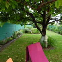 17x#pinnyed#haz elado ingatlan gyor#