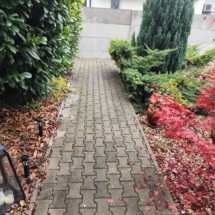 xpinnyed-sorhaz-kertkapcsolatos-lakas.jpg xpinnyed-sorhaz-kertkapcsolatos-lakas.jpg