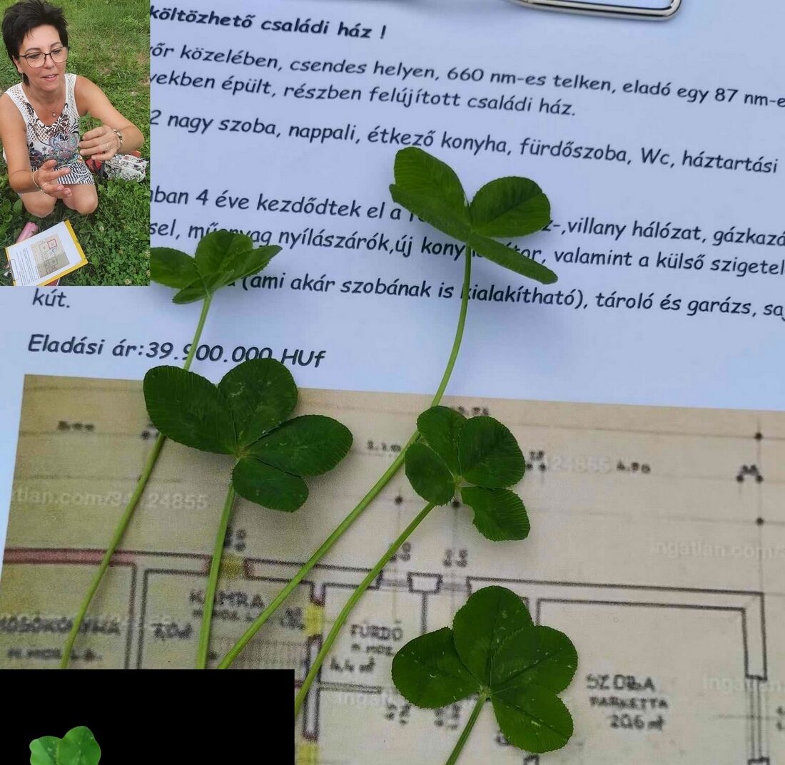 Wie war 2025 auf der Veranda von Landhaus Ungarn?