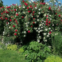 17#mihályi #eladóház #ősfáskért #nyárilak #családiház