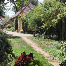 1A#immo #mihalyi #ungarn #hausverkauf