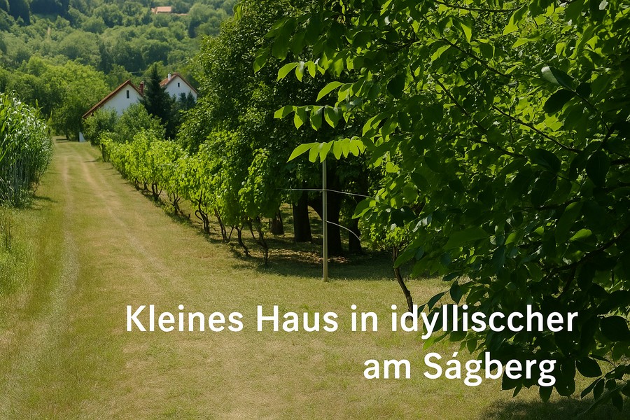 Voll möbliertes kleines Haus mit Weinkeller !